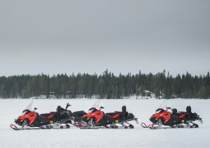 Safari In Motoslitta E Aurora Boreale.jpg