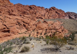 Escursione A Scelta Tra Red Rock Canyon o Valley Of Fire.jpg