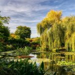 Giardino di Monet