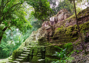 Flores – Tikal - Città Del Guatemala  (70 Km + Volo).jpg