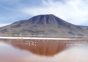 Ollague - Arbol De Piedra - Siloli - Laguna Colorada.jpg