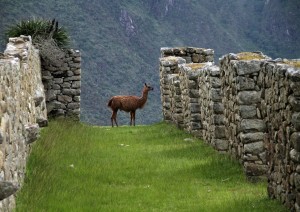 Cusco.jpg