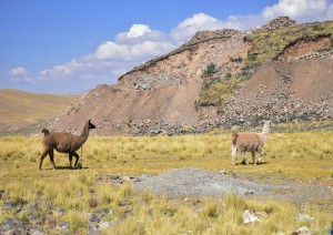 Arequipa - Sillustani - Puno (6h; 300km).jpg