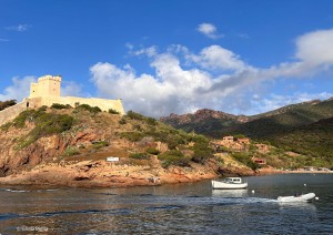 Calvi - Porto Ota (74 Km).jpg