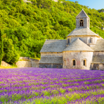 Gordes (Abbazia Senanque)