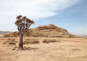 Fish River Canyon.jpg