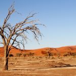 I colori del Kalahari