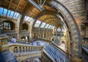 Natural History Museum – British Museum.jpg