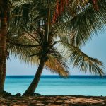 Madagascar barriera corallina [Foto di Sandy Ravaloniaina su Unsplash]