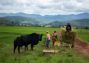 Ambalavao - Isalo.jpg