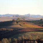 Il paesaggio nei dintorni di Barolo