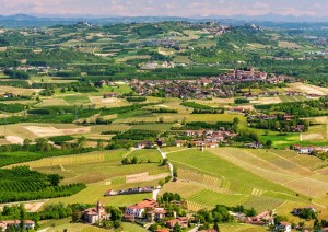 Arrivo – Degustazione Di Vini Con Visita.jpg