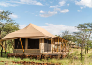 Serengeti 23/01/2025.jpg