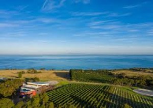 Melbourne: Bellarine Peninsula.jpg