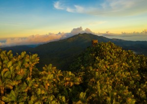 El Yunque National Forest.jpg