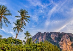 Krabi (24/01/2026).jpg