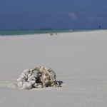 SPIAGGIA MALDIVE