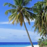 SPIAGGIA MALDIVE