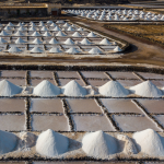Saline Lanzarote