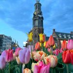 Amsterdam.