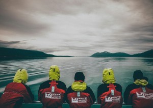 Tromsø - Kilpisjärvi (360 Km) E Avvistamento Balene In Gommone.jpg