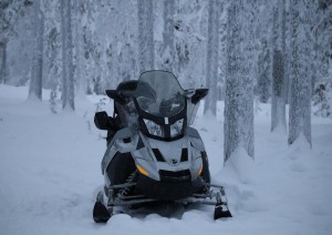 Safari In Motoslitta Nella Tundra.jpg
