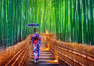 Kyoto (12/04/2026).jpg