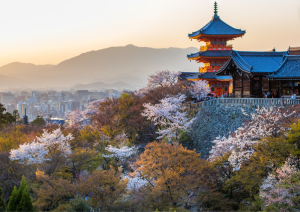 Kyoto (11/04/2026).jpg