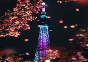 Kanazawa - Tokyo  (16/04/2026).jpg