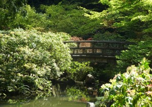Kanazawa (15/04/2026).jpg