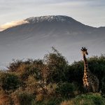 Kilimanjaro [Foto di Herbert Aust da Pixabay]