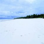 Diani beach [Foto di Andrew Molo su Unsplash]