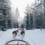 Slitte Rovaniemi