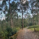 DA SANTIAGO DE COMPOSTELA A FINISTERRE