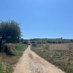 DA SANTIAGO DE COMPOSTELA A FINISTERRE