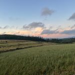 DA SANTIAGO DE COMPOSTELA A FINISTERRE