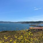 DA SANTIAGO DE COMPOSTELA A FINISTERRE