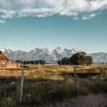 Dal Texas allo Yellowstone: tra ranch, deserti e geyser!