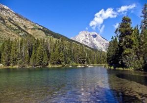 Grand Teton National Park (17 Agosto 2026).jpg
