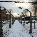 Auschwitz [Foto di Julia Taubitz su Unsplash]