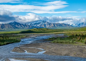 Denali National Park.jpg