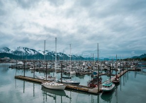 Homer - Seward (270km).jpg