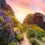 Trekking e percorsi vista mare a Madeira