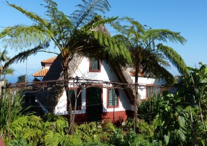Ponta Do Sol – Encumeada - Santana.jpg