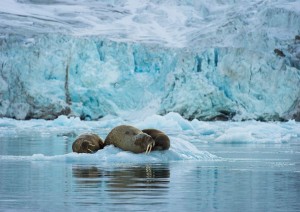 Longyearbyen (02/07/2026).jpg