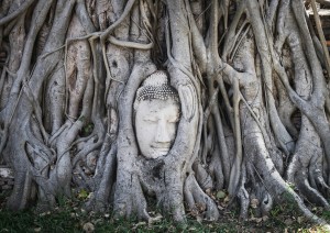 Bangkok – Ayutthaya – Lopburi – Sukhothai.jpg