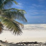 Spiaggia di Paje [Gioia Giordani]