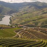 Valle del Douro [Pixabay]