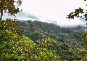 Antsirabe - Ranomafana.jpg