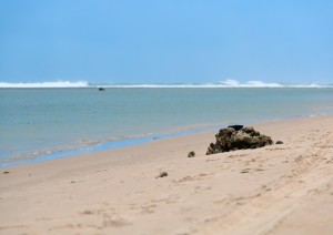 Isalo &ndash; Tulear - Ambatomilo.jpg